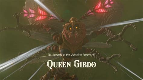 gibdo königin|Zelda: Tears Of The Kingdom: How To Defeat Queen。